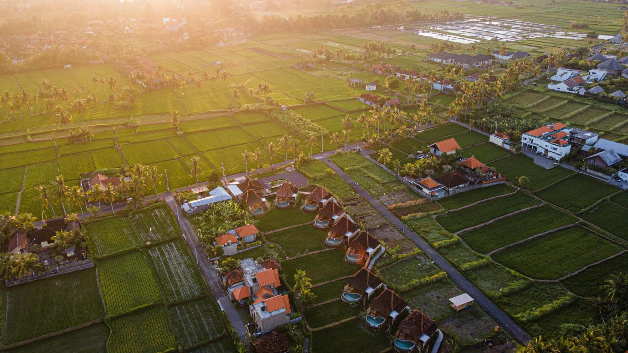 Ikada Villa By Pramana Villas Ubud Eksteriør bilde